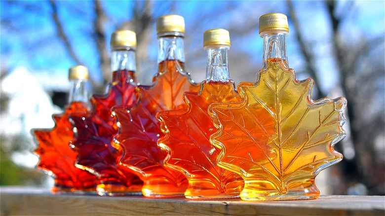 Various grades of maple syrup in glass bottles shaped like maple leaves