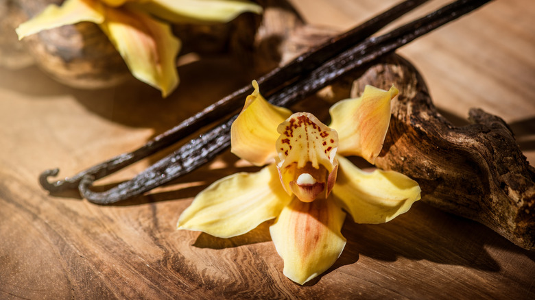 Vanilla orchid and pods