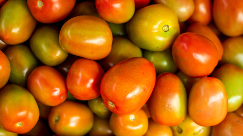 Pile of tomatoes not fully ripe