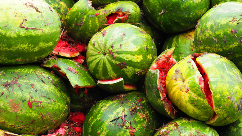 A pile of rotten watermelon