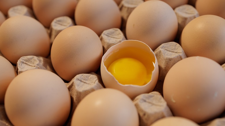 Cracked egg sitting in a carton with other whole eggs