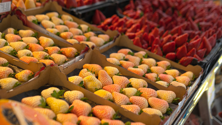 A farmers market stall displays boxes of pineberries for sale.