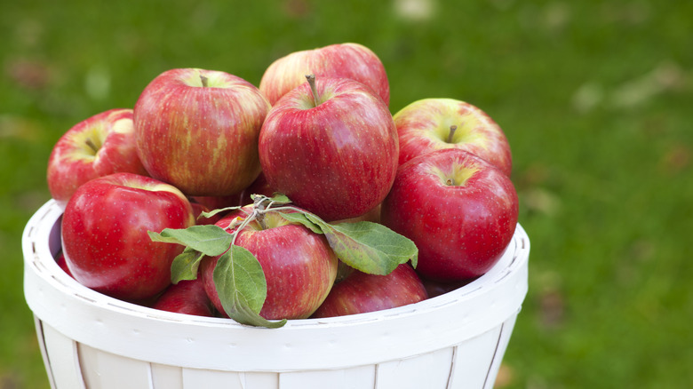 honeycrisp apples