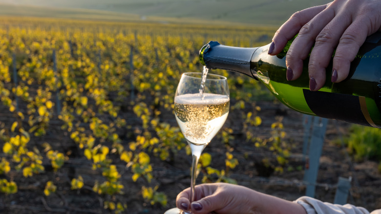 A hand pours white sparkling wine into a glass with a vineyard in the background.