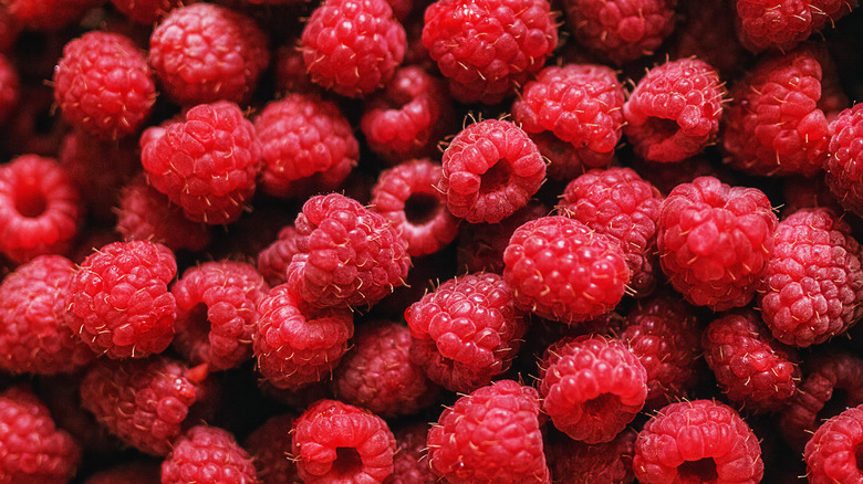 Bunches of berries