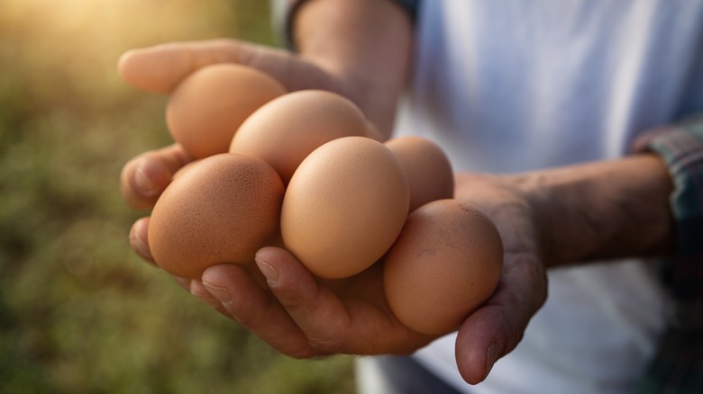 Farmer holding several fresh eggs