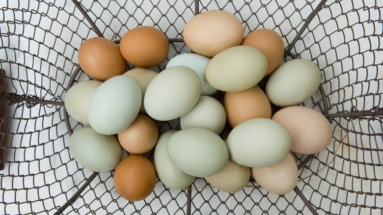 Various eggs of different colors