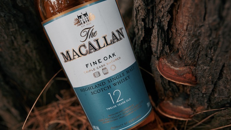 The Macallan 12 year bottle next to a tree 