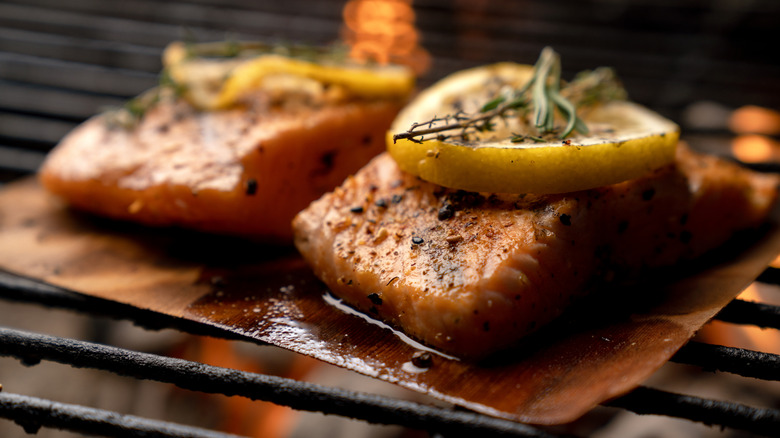 Two pieces of grilled salmon