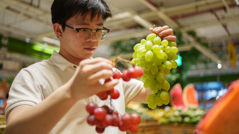man choosing the best grapes