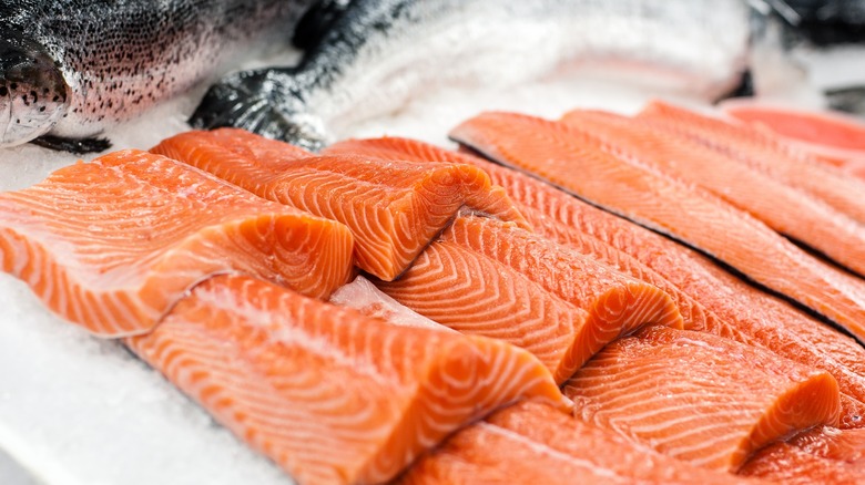 Fillets of salmon on ice