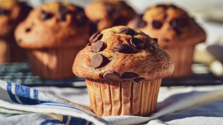 Chocolate chip muffins on kitchen towel