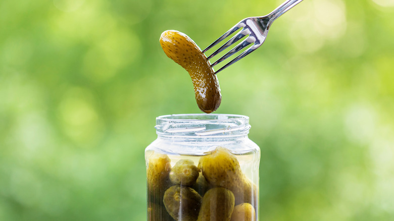 Picture of a pickle speared on a fork above a jar of pickles