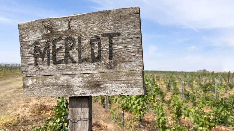 merlot sign in vineyard