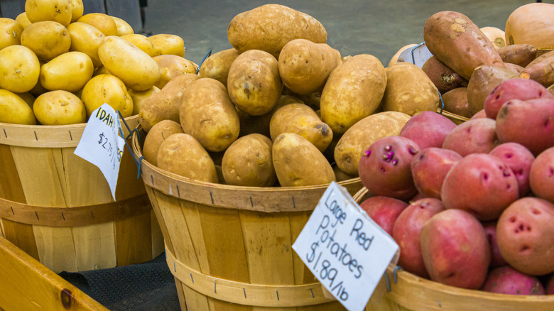 bushels of various potatoes