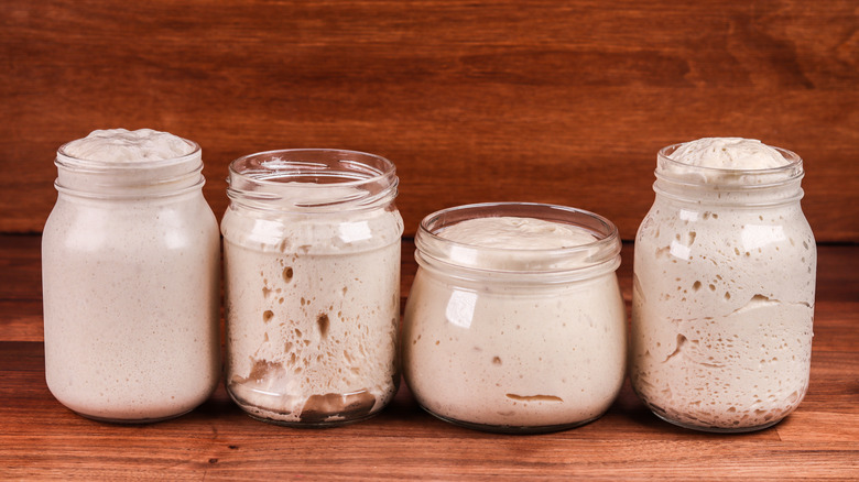 preferments in jars