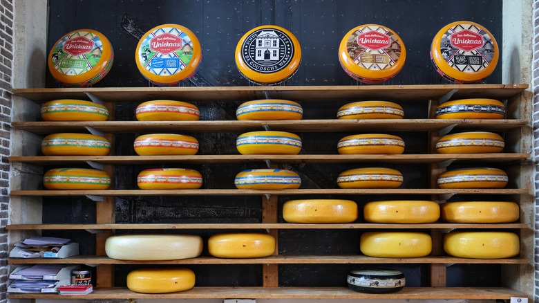 wax rind cheeses on display