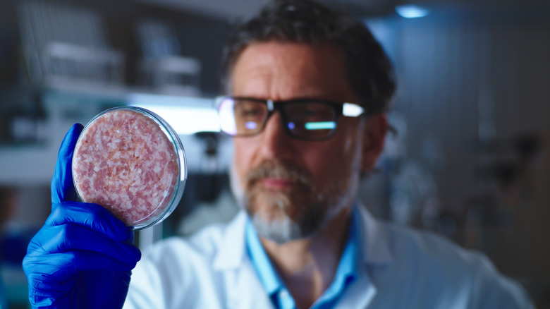 scientist examining lab grown meat
