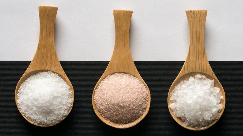 Sea salt, Himalayan salt, and kosher salt in wooden spoons