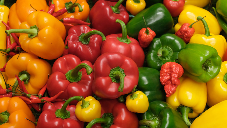 Red, orange, yellow, and green bell peppers in a pile