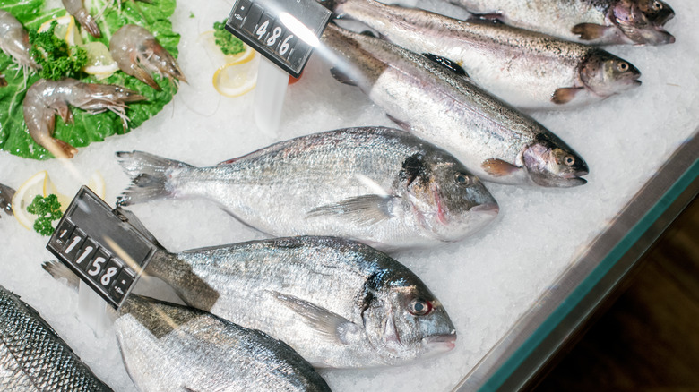 A display of whole fish sit on a bed of ice in a grocery store