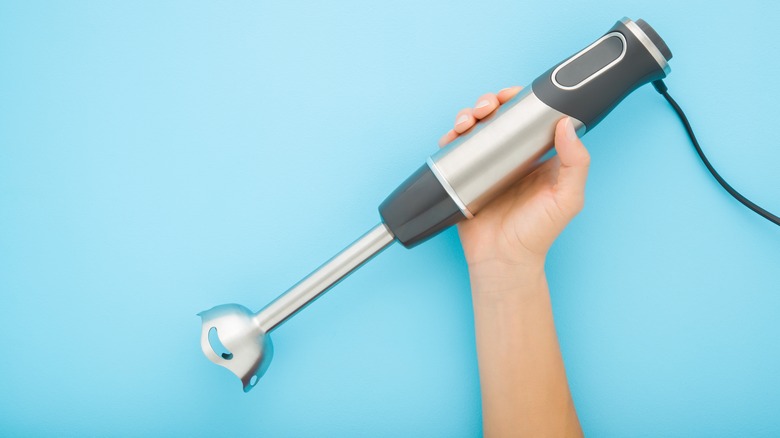 Person holding an immersion blender