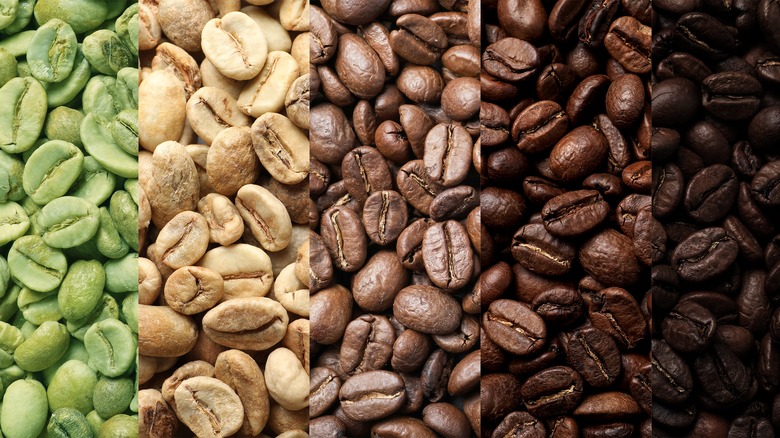 Five stages of roasted coffee beans