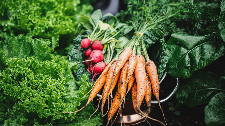 carrots, leafy greens, radishes