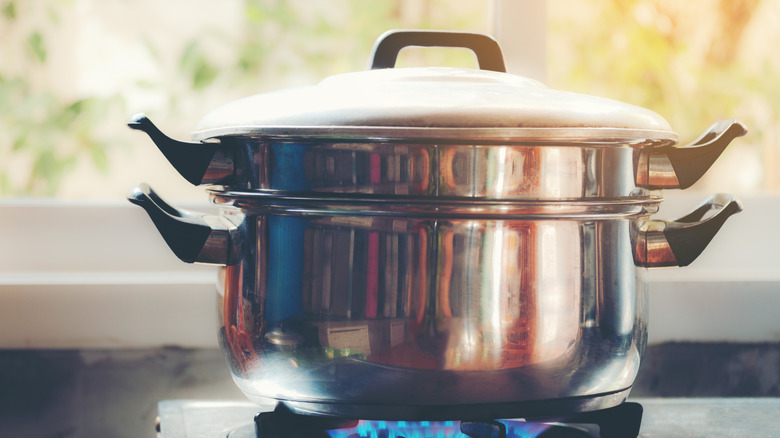 A stovetop steamer pot