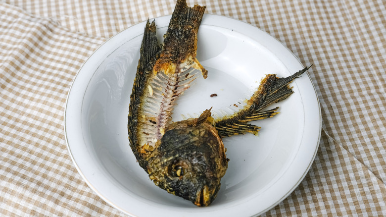 fish bones on plate after eating