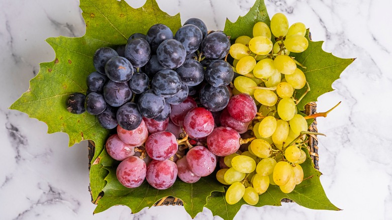 Different types of grapes