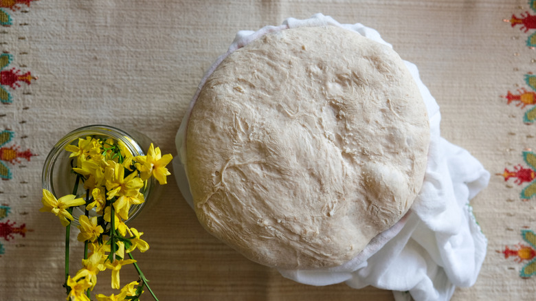 A sourdough loaf fermented in the fridge for 16 hours