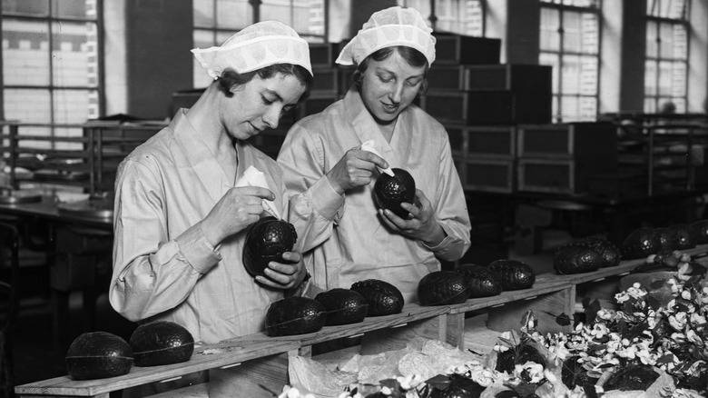 Women working in a chocolate factory