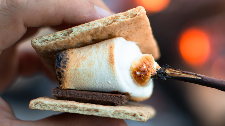 Freshly stacked s'more