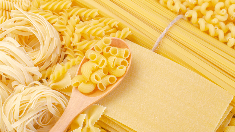 different pasta shapes