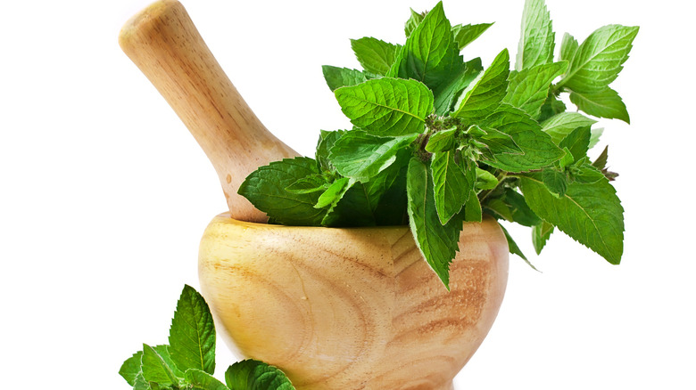 Mortar and pestle with mint 