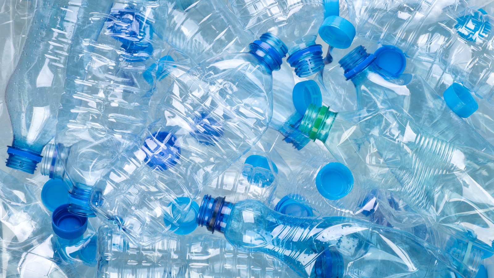 Should You Refill Plastic Water Bottles? - Williams Integracare Clinic