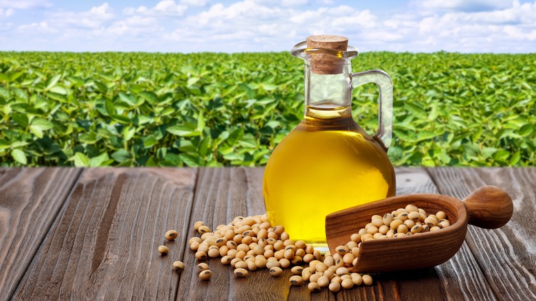 Soybean oil in front of field with fresh soybeans