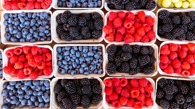 Blueberries, raspberries, and blackberries in tubs