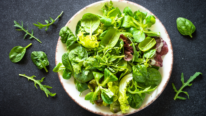 Overhead shot of salad greens on a white plate