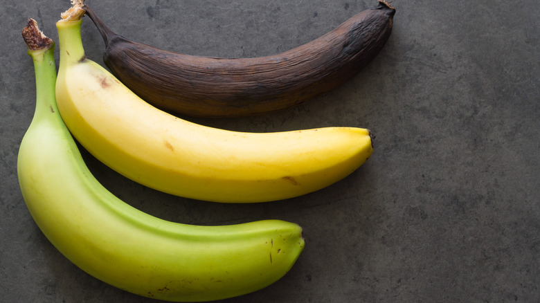 Bananas in stages of ripeness green yellow and black