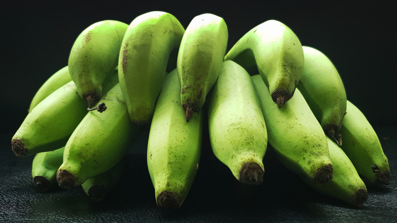 A bunch of unripe green bananas