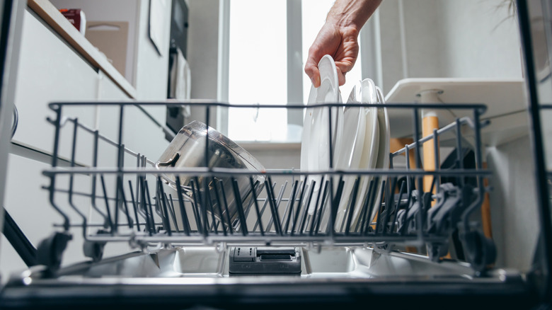 A person lifts out a clean white plate from a dishwasher bottom rack