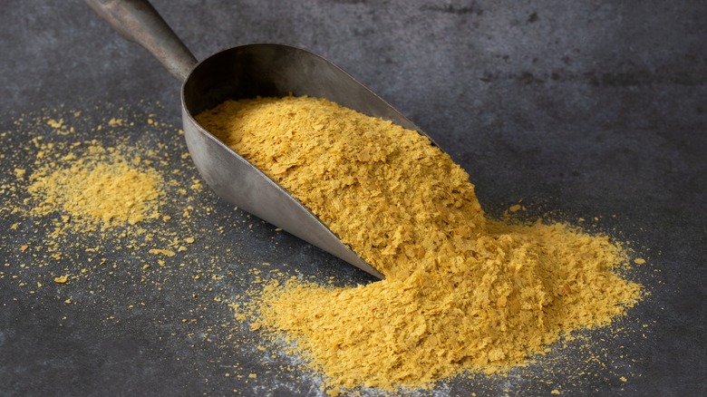 A scoop full of nutritional yeast on gray background