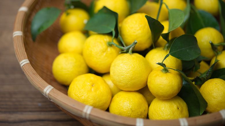 A bowl filled with yuzu fruits.