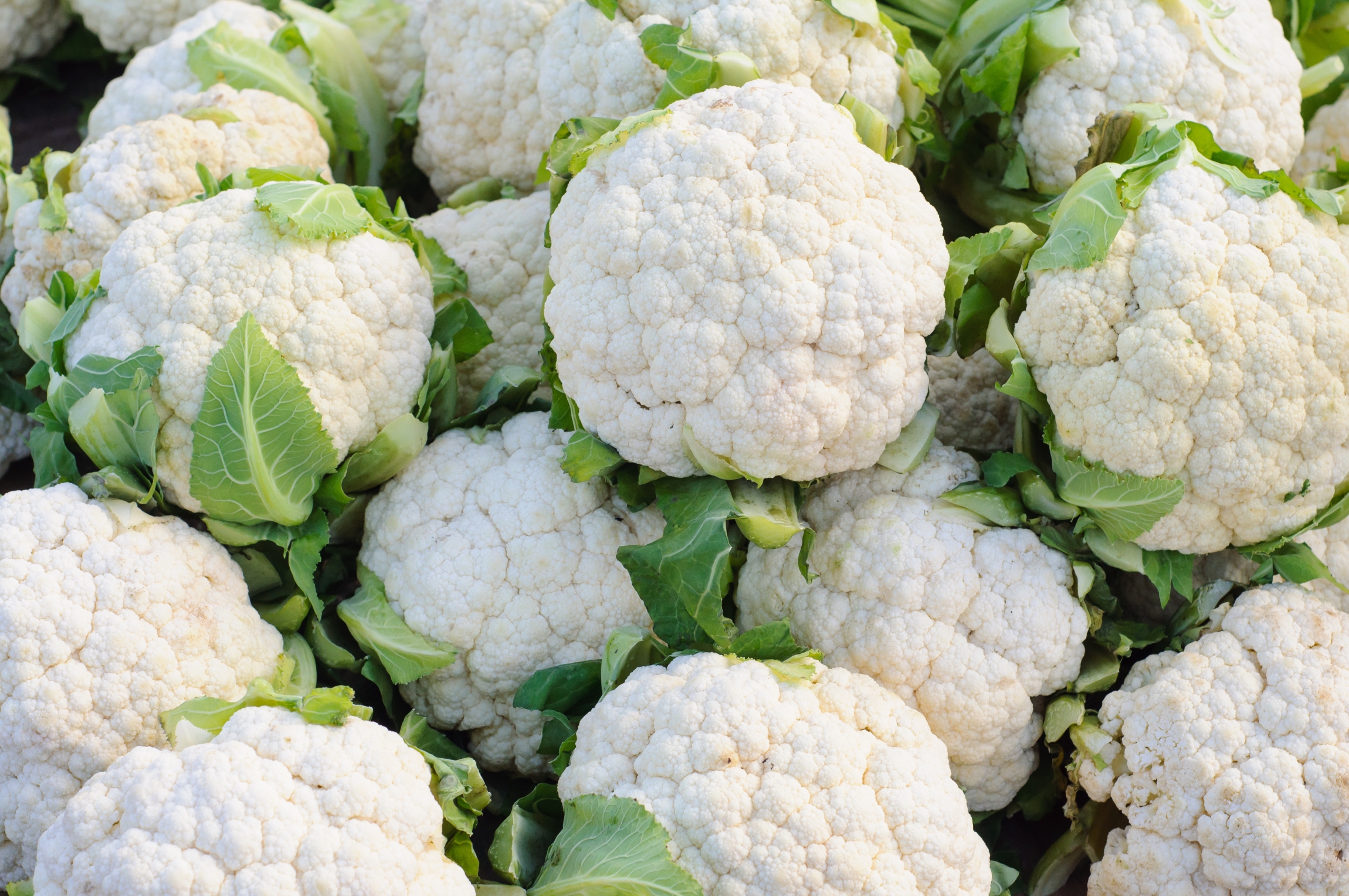 how-to-master-cauliflower