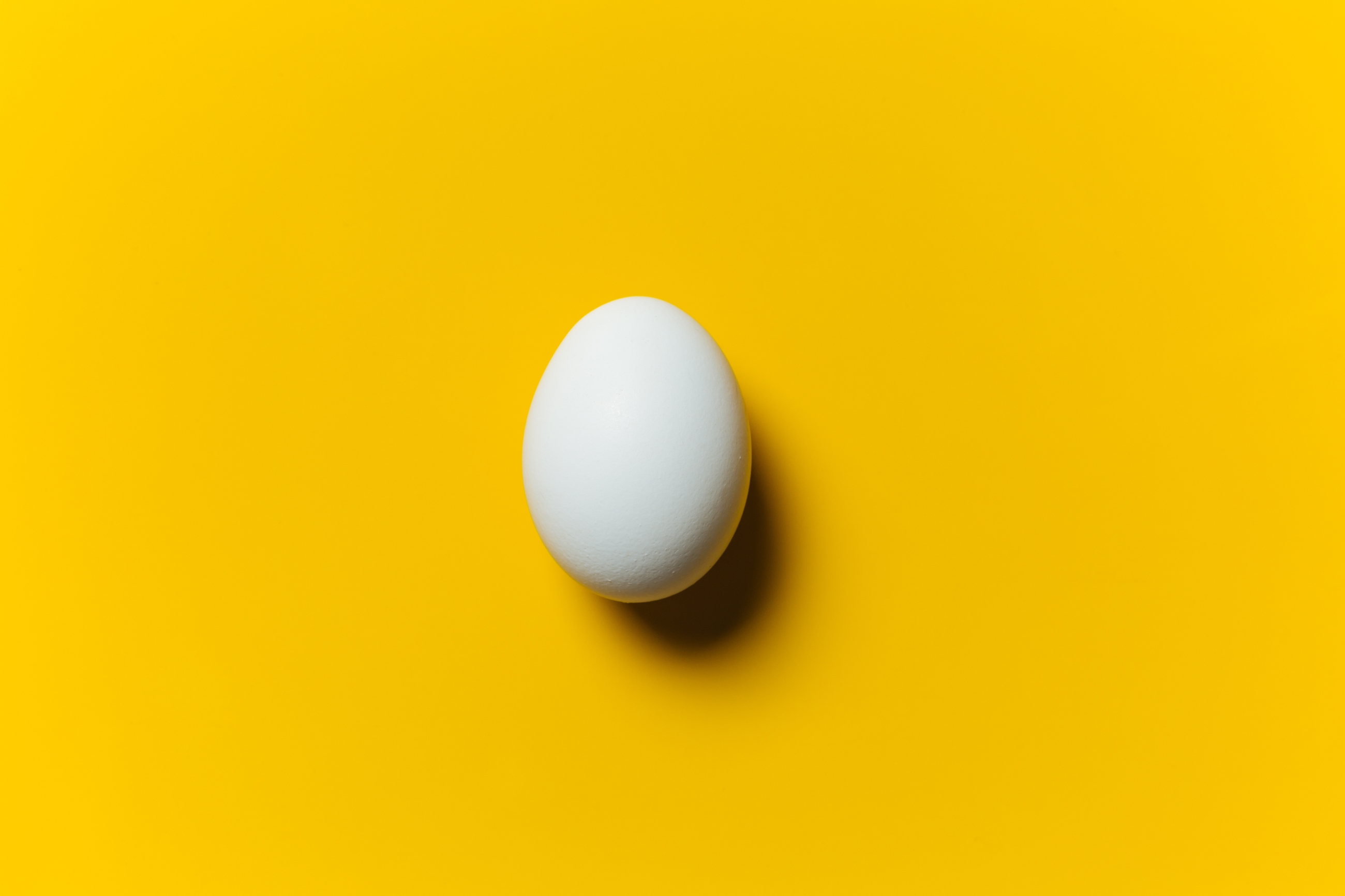 what-eggs-should-really-be-buying