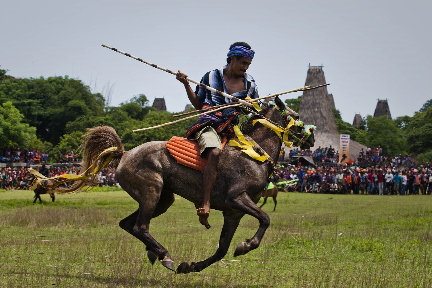 The Pasola Jousting Festival