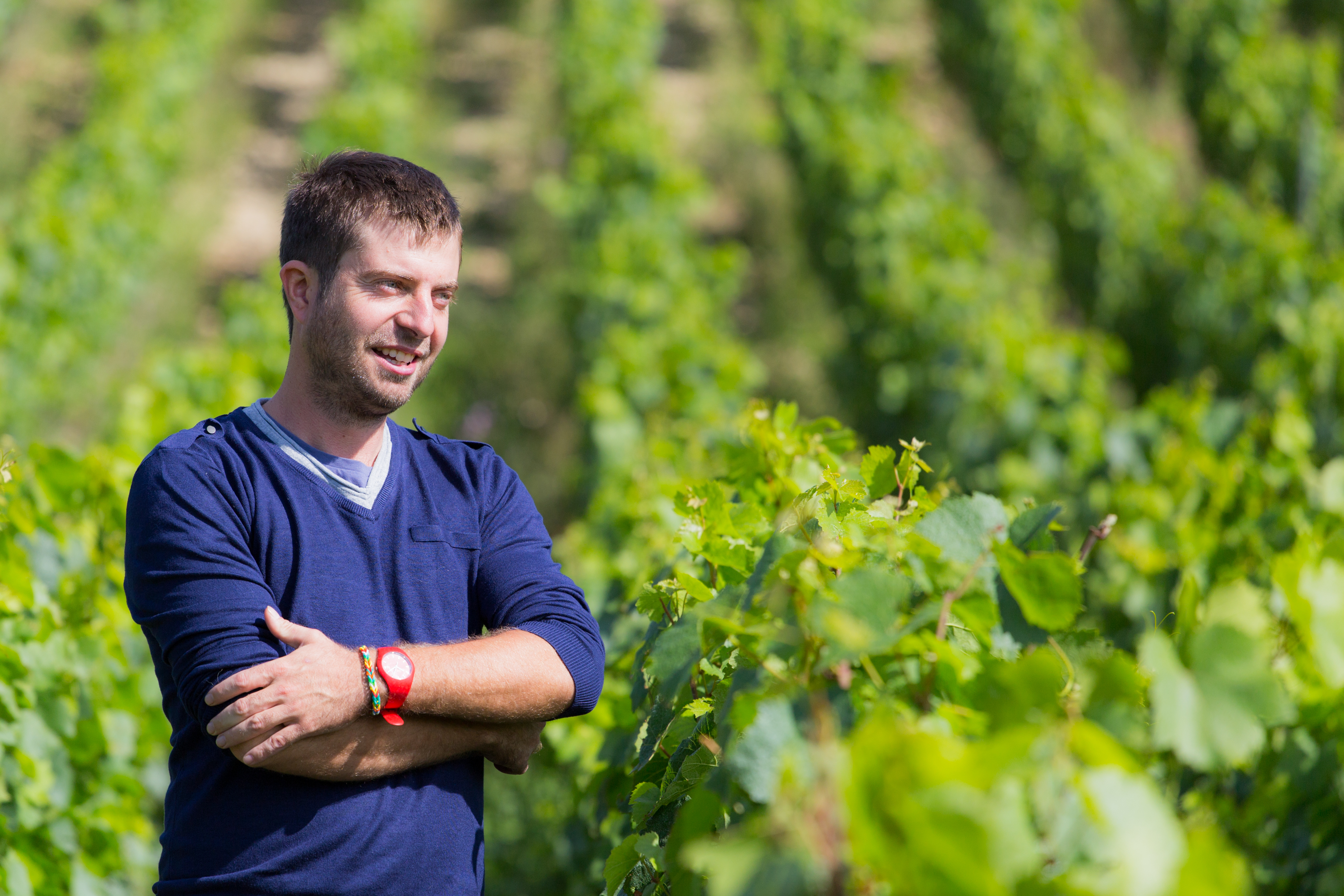 33-Year-Old Winemaker Thomas Pico Is The Future Of Natural Wine In ...