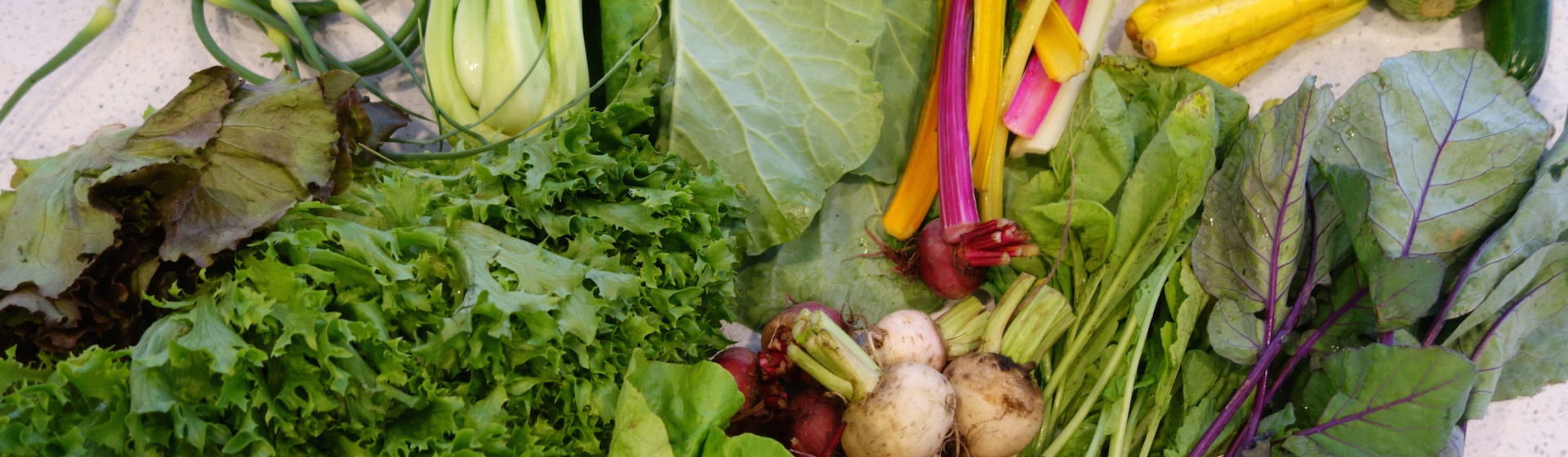 How A Dedicated Carnivore Managed His First Csa Box - Food Republic